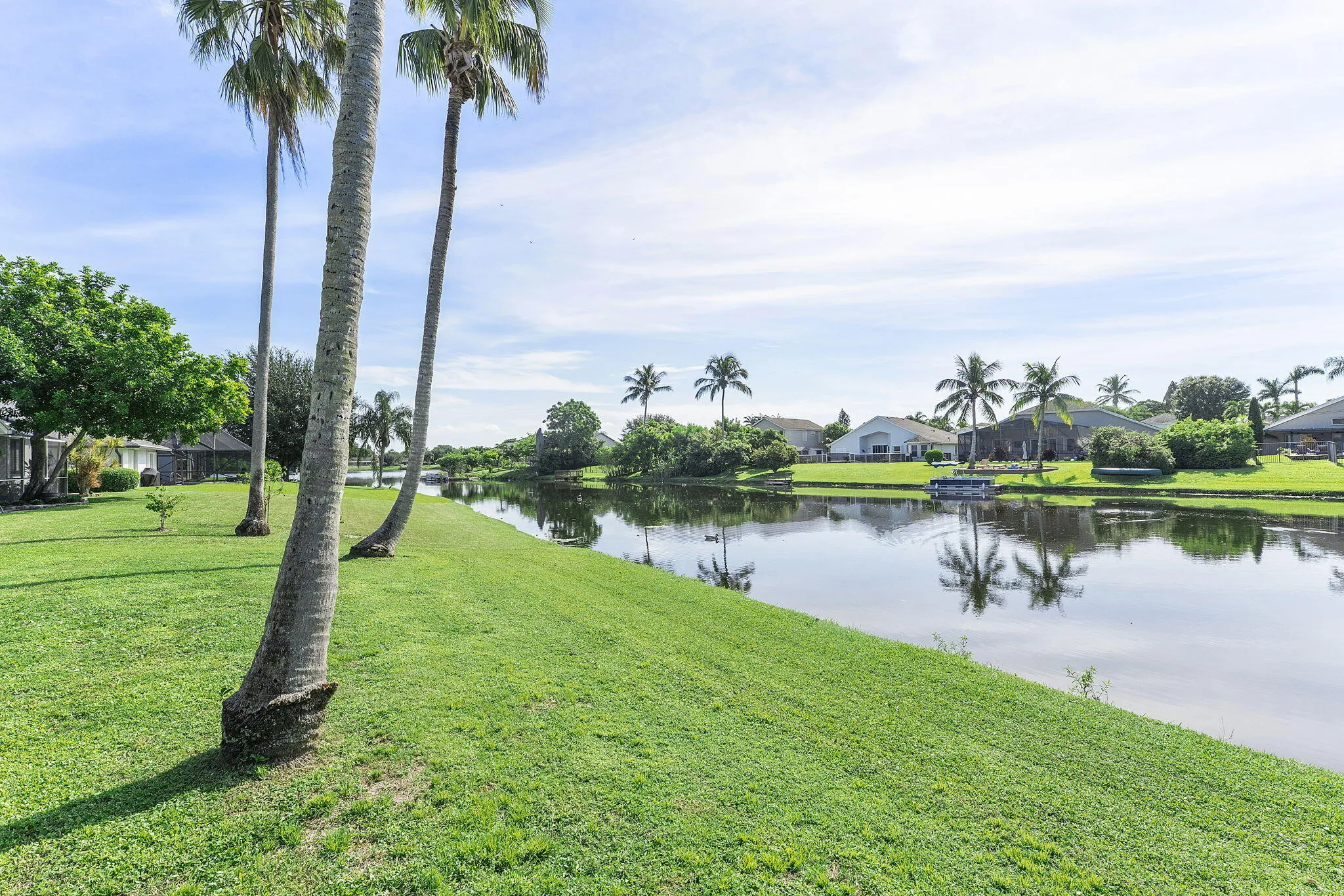 42-web-or-mls-DSC09321