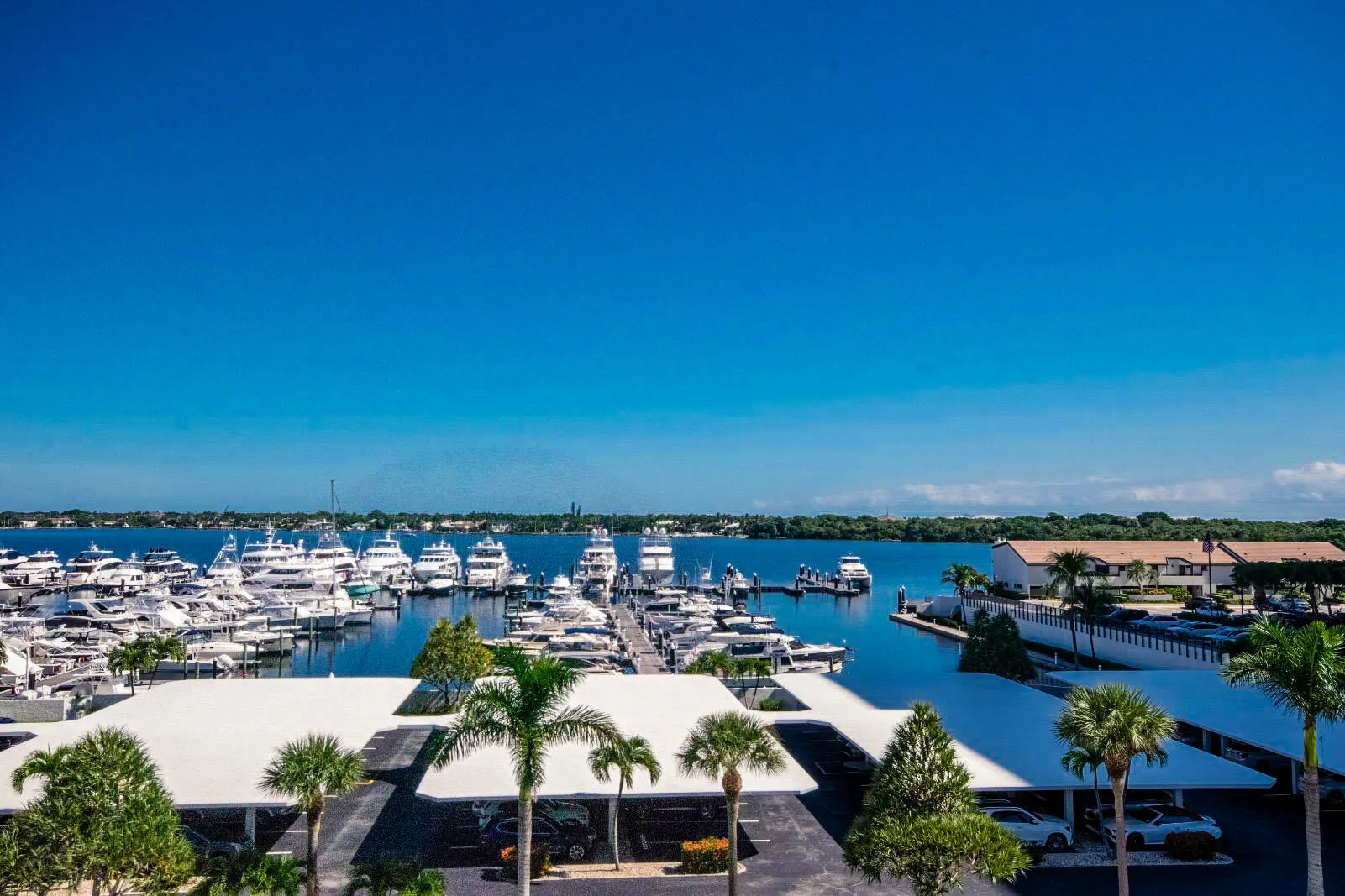 Marina Views