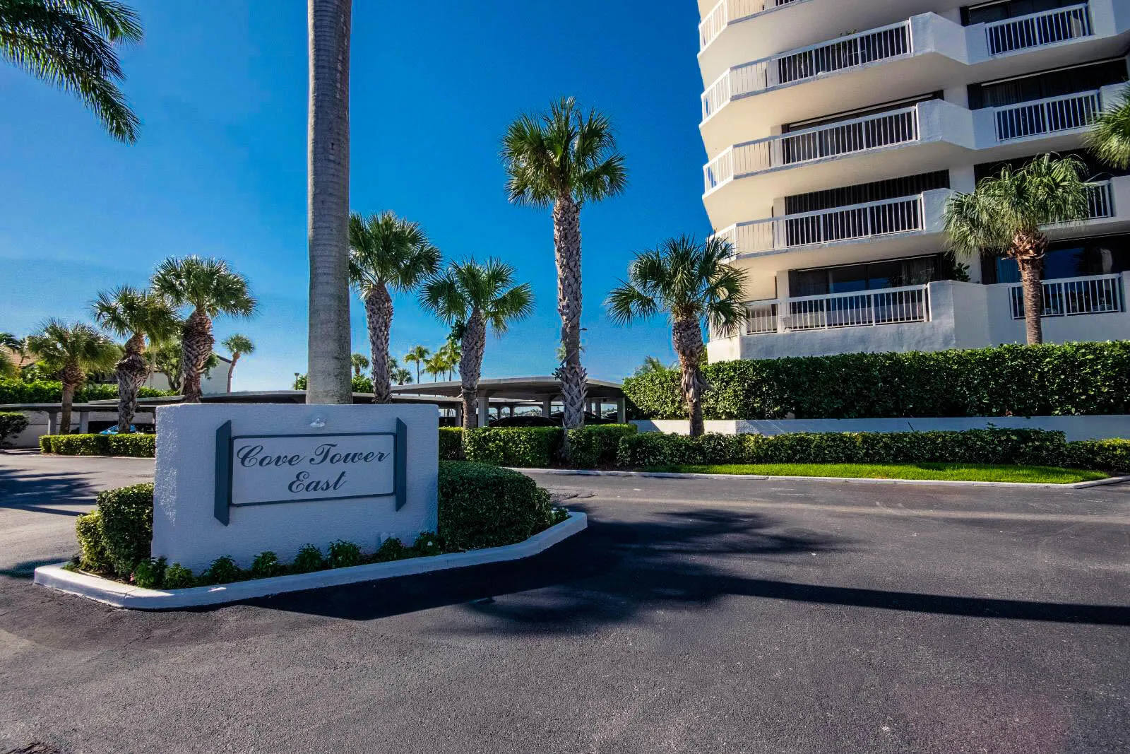 Cove Tower East