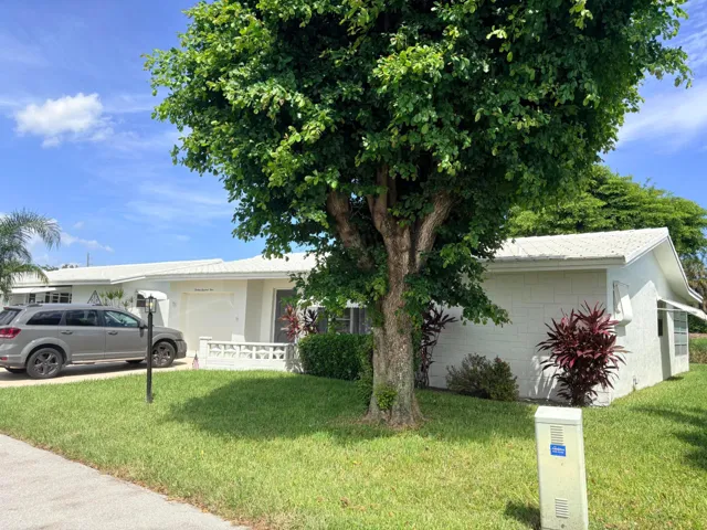2 SHADE TREES, 1 IN FRONT, 1 IN BACK YARD.