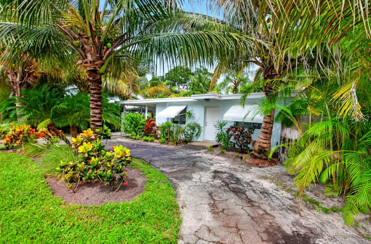Driveway 1