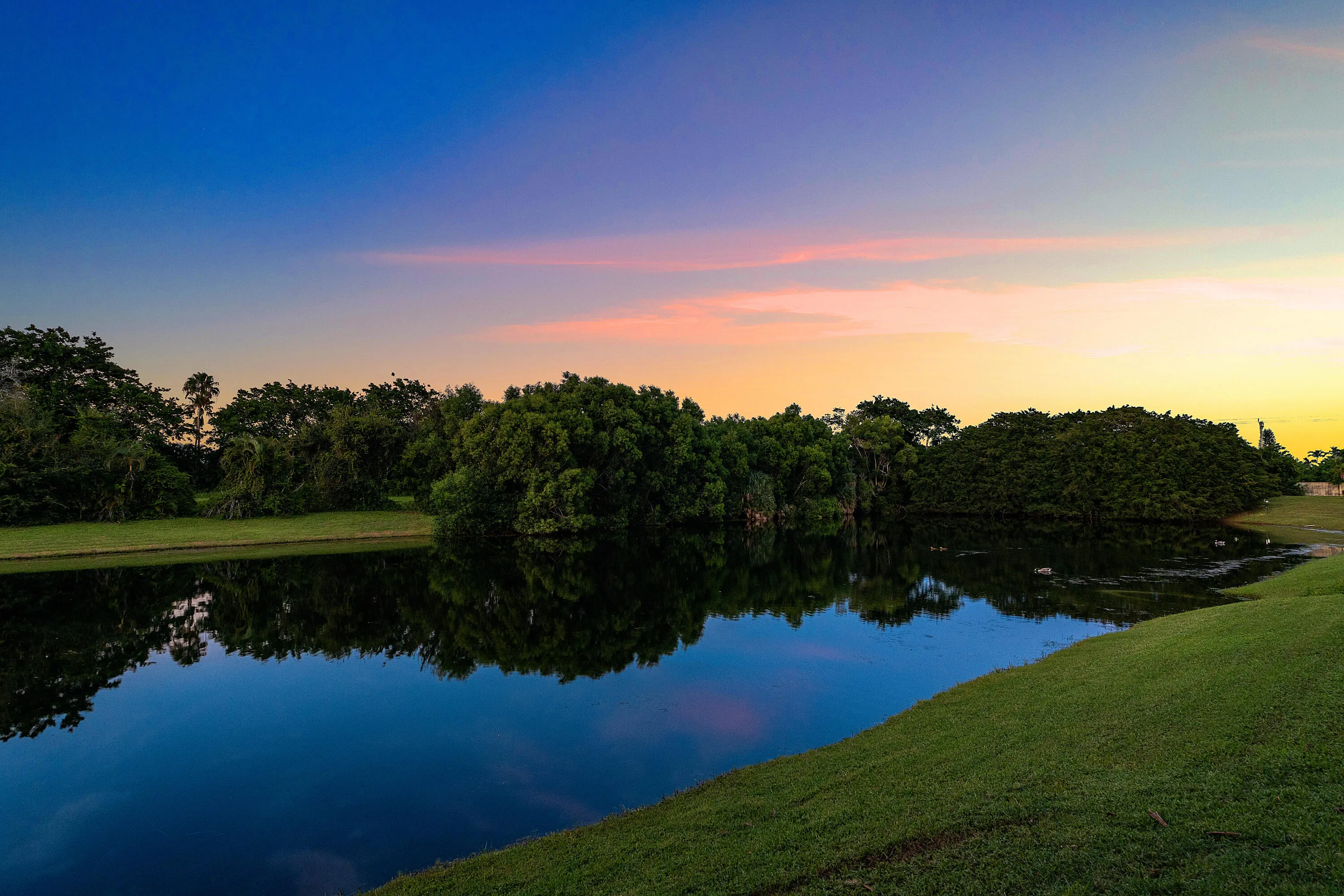 Twilight backyard