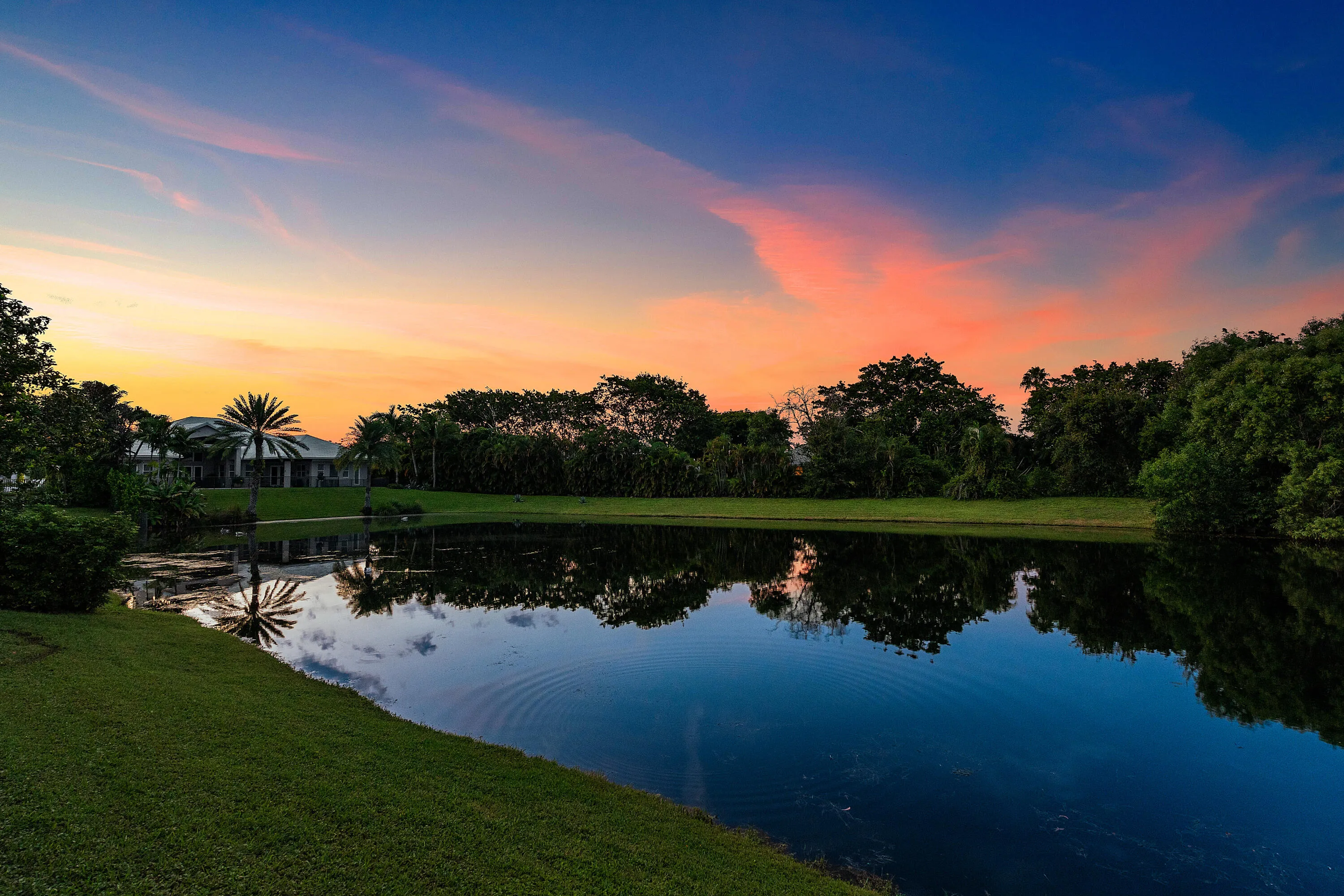 Twilight backyard