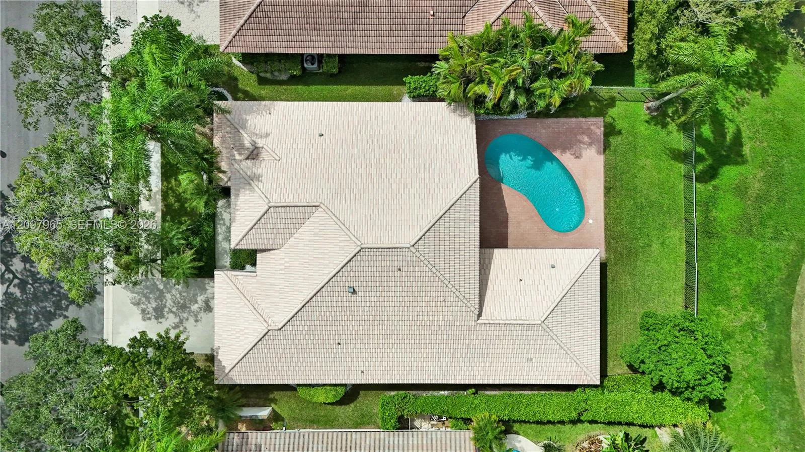 Photo 65