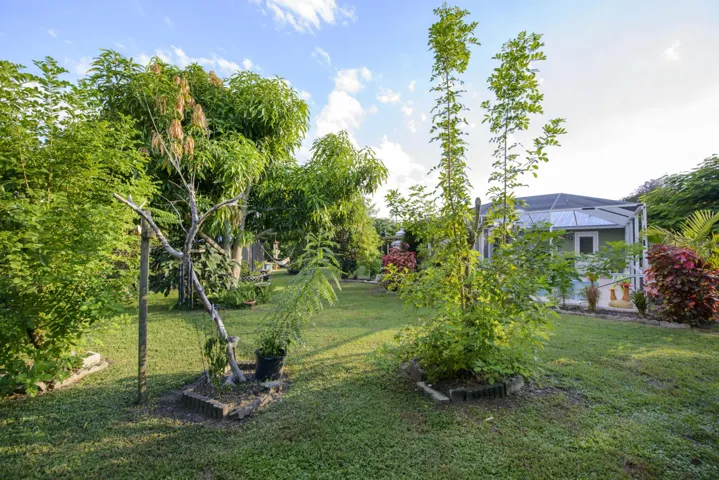 11- Backyard (10)