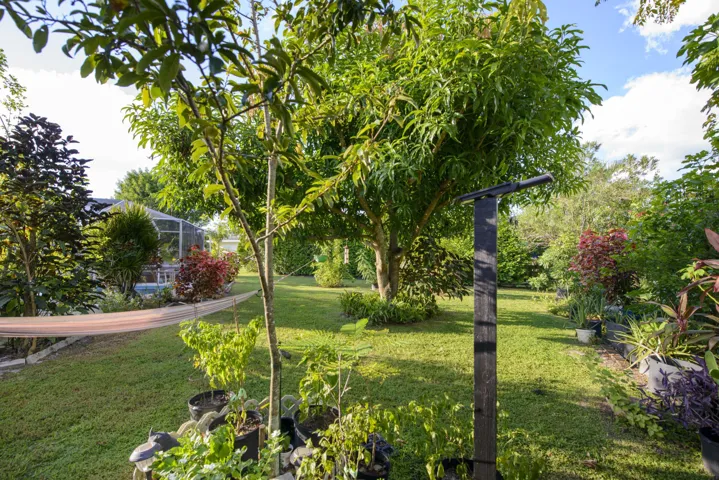 11- Backyard (7)