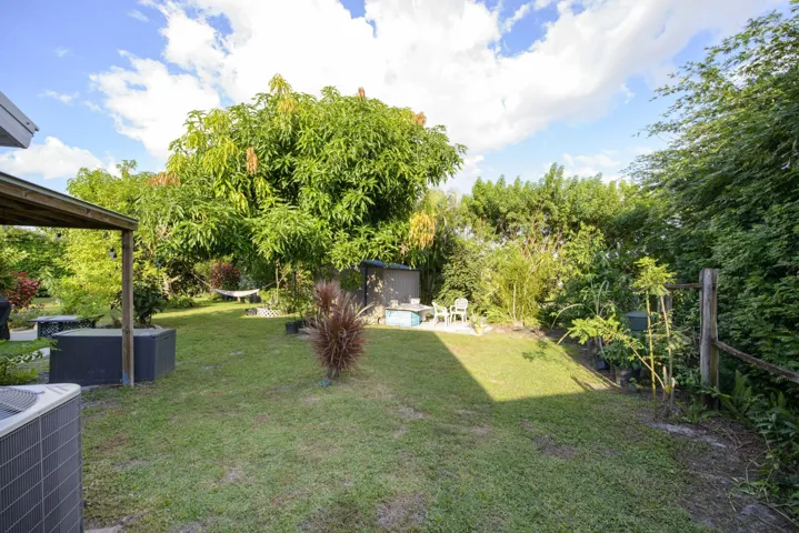 11- Backyard (1)