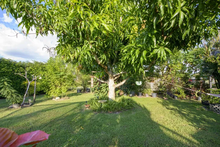11- Backyard (14)