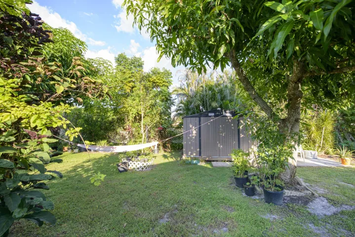 11- Backyard (13)
