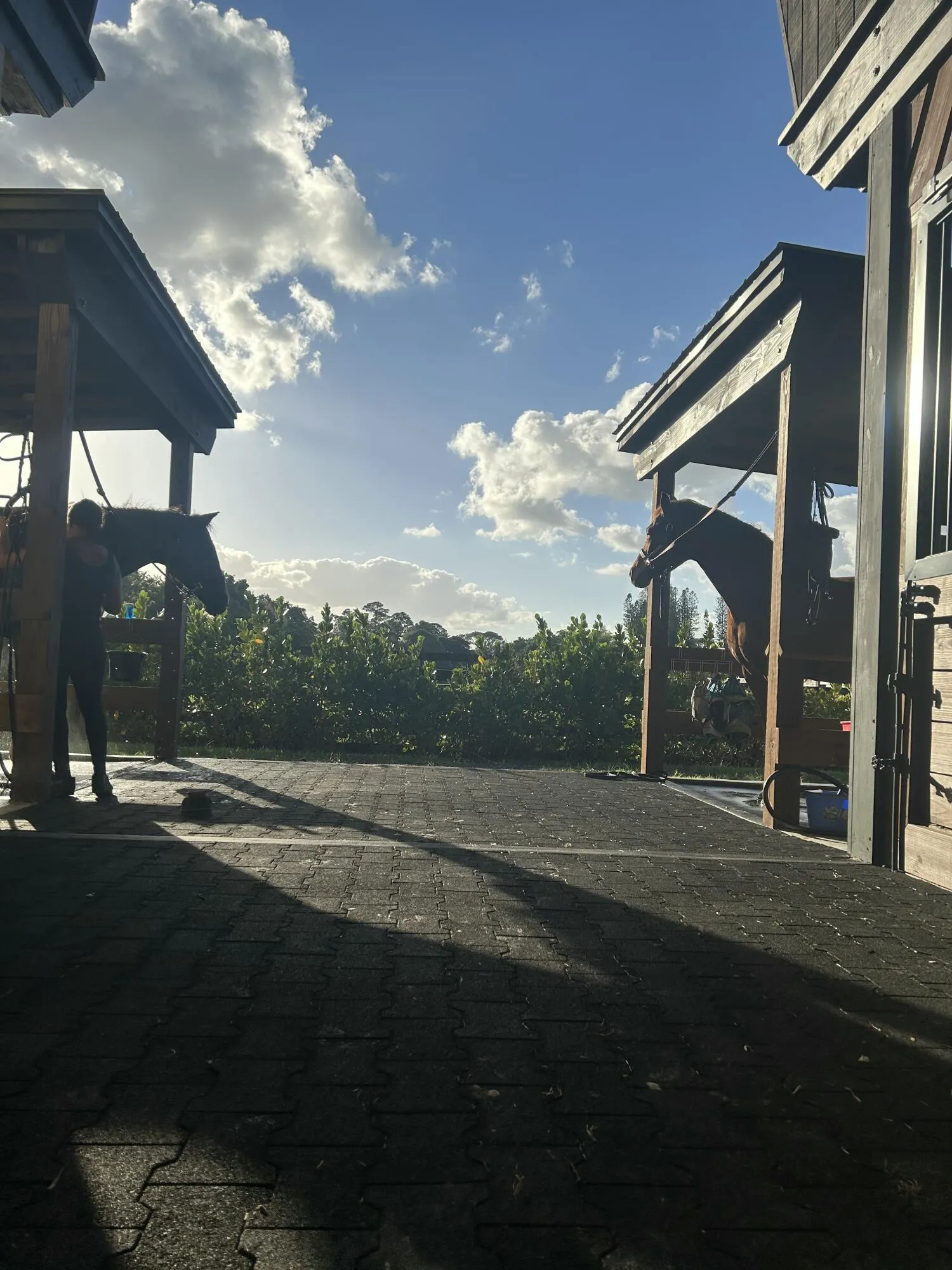 Property photo 35