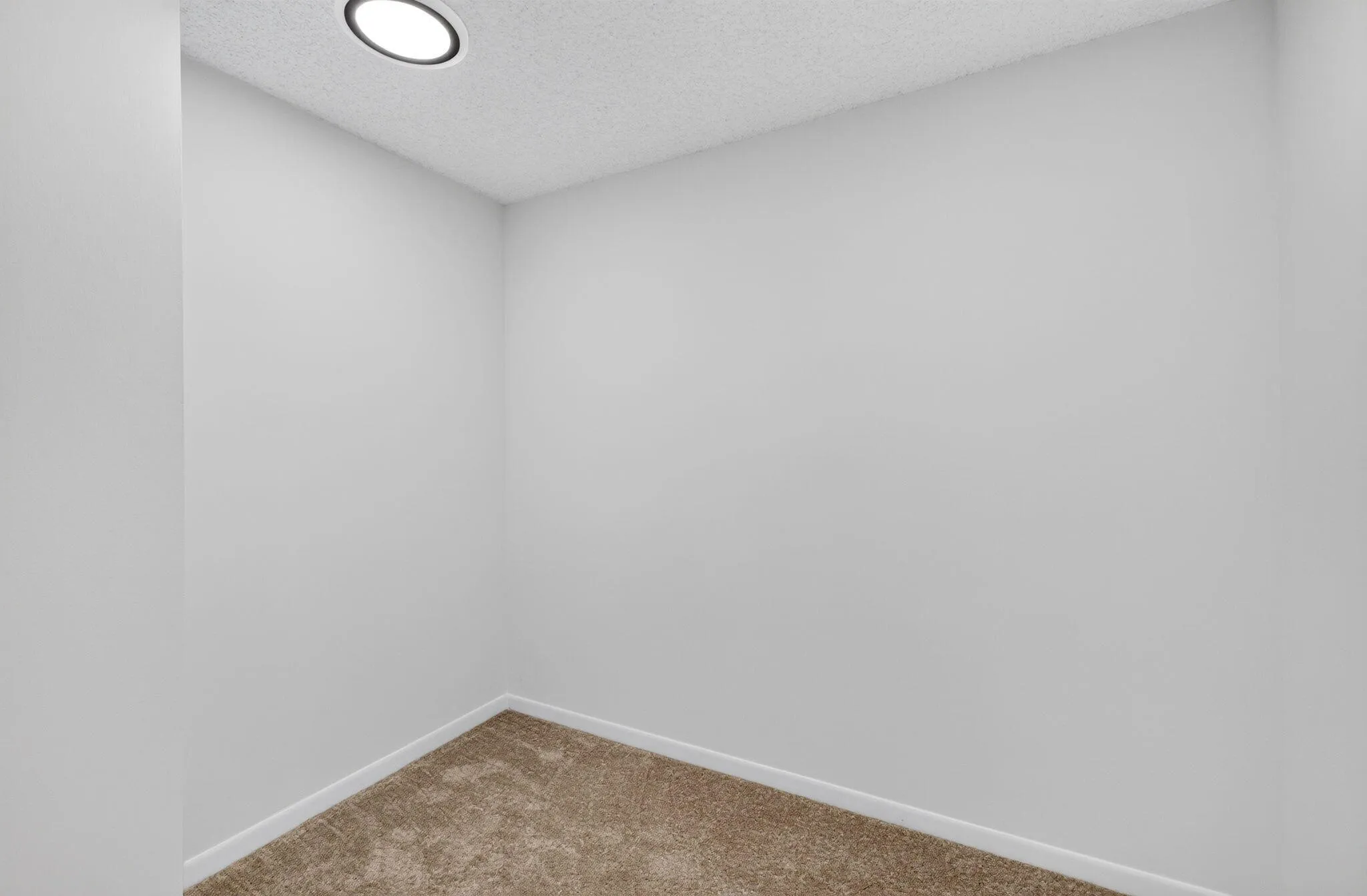 33-web-or-mls-699A1847