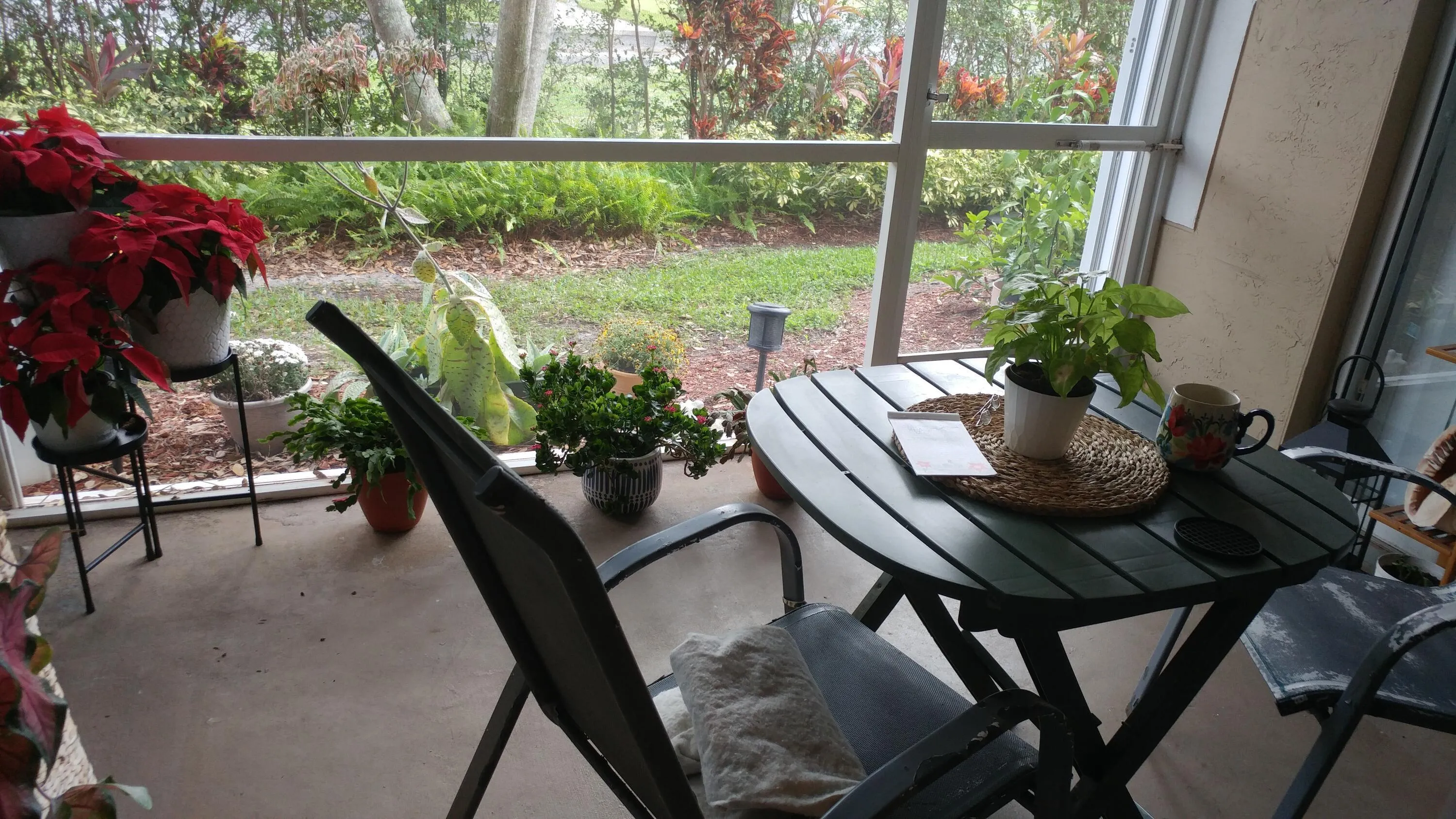 Screened Patio