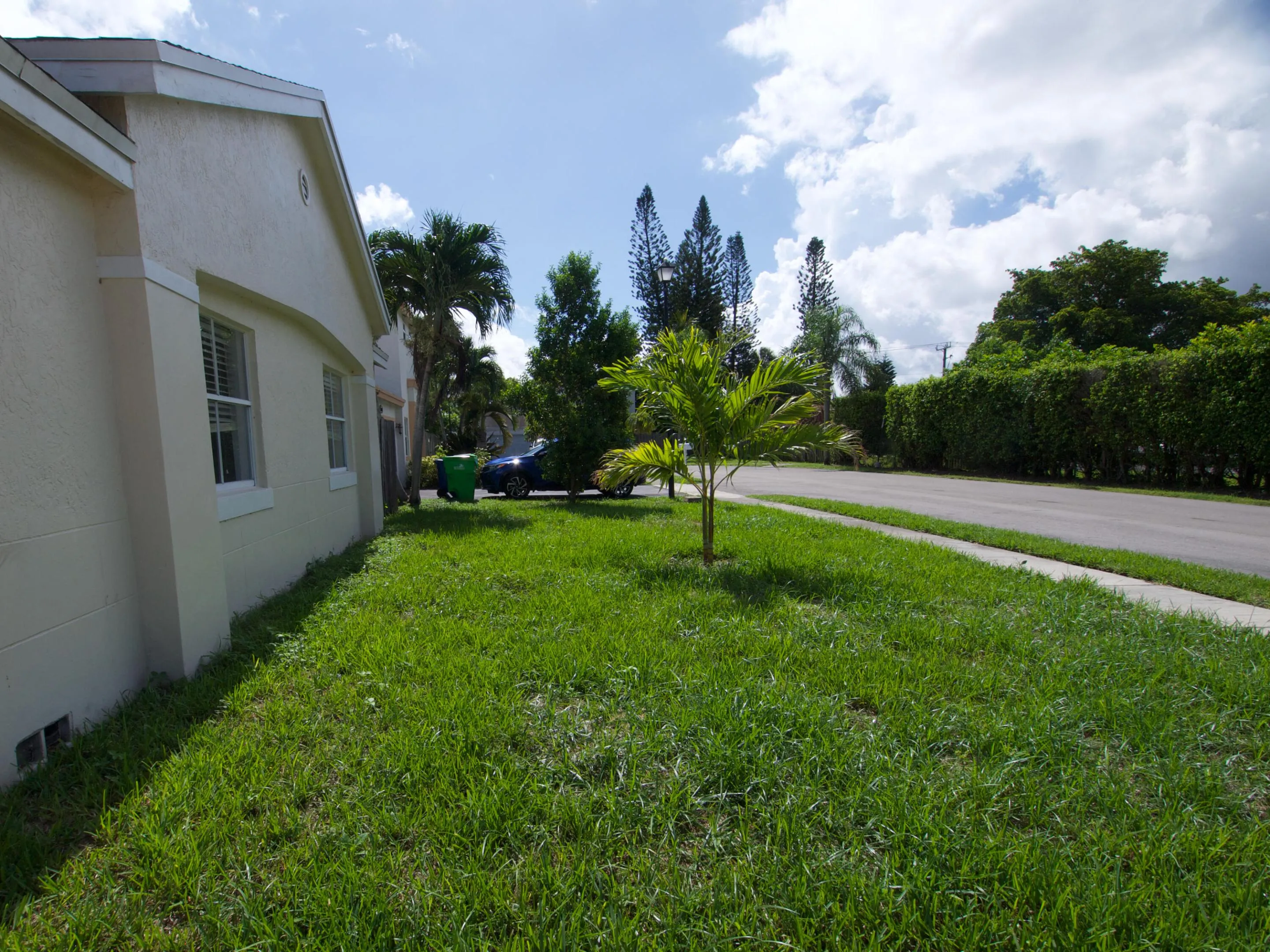 Stucco exterior with white trim, a verdant lawn, mature trees, and a paved street with a sidewalk
