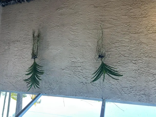 Outdoor Master Shower