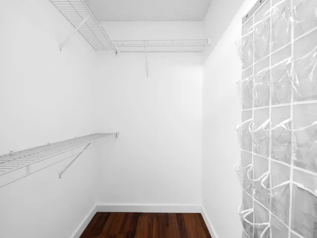 Walk in closet #1