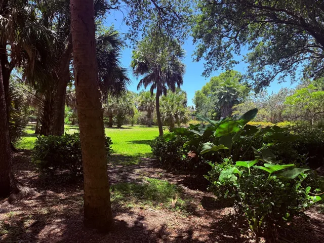 Park