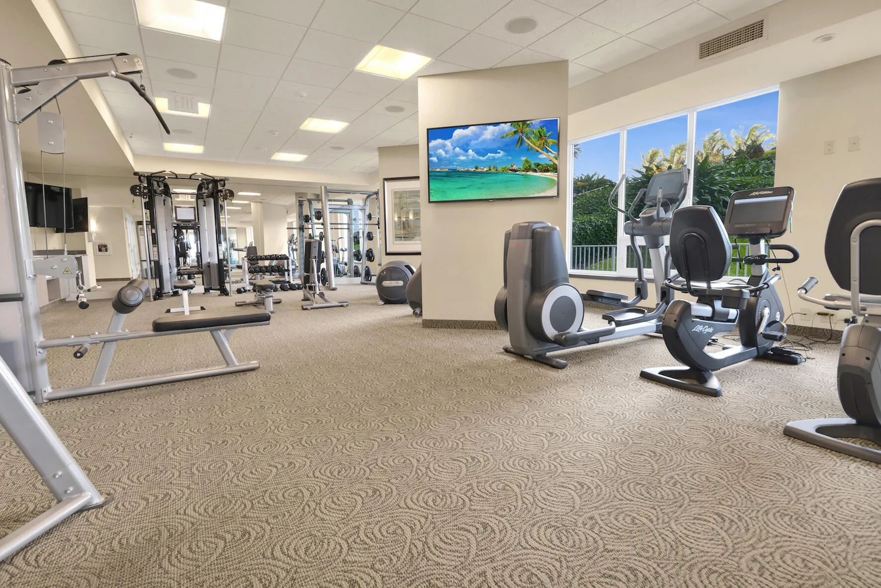 gym