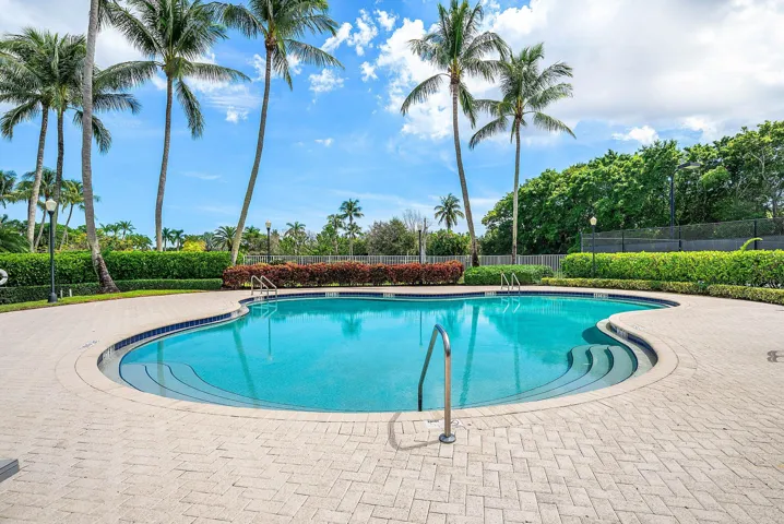 Freeform swimming pool with integrated steps, surrounded by paver decking and mature landscaping with palm trees