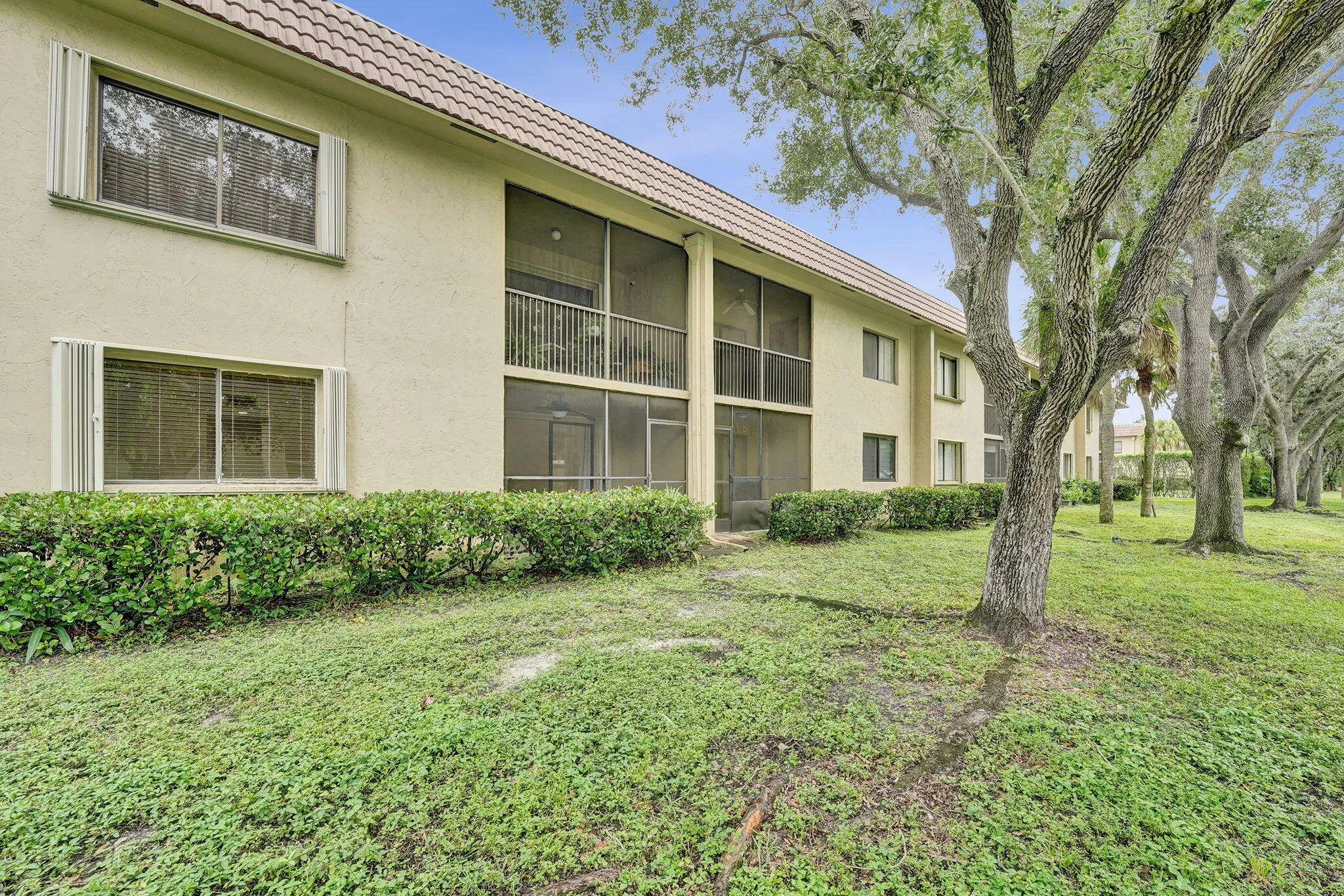 49-web-or-mls-DSC05372