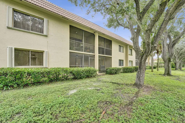 49-web-or-mls-DSC05372