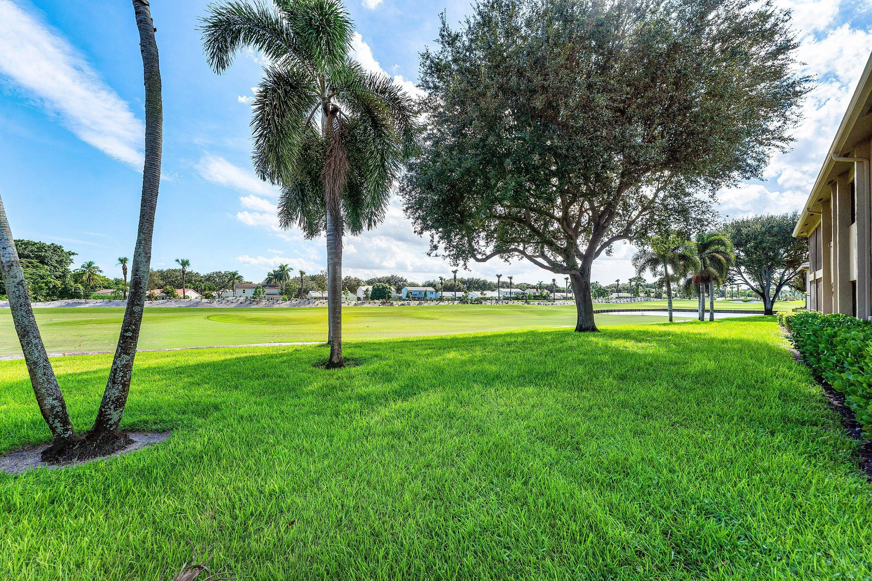 Expansive green space with manicured lawn, mature trees, palm trees, and established shrubbery