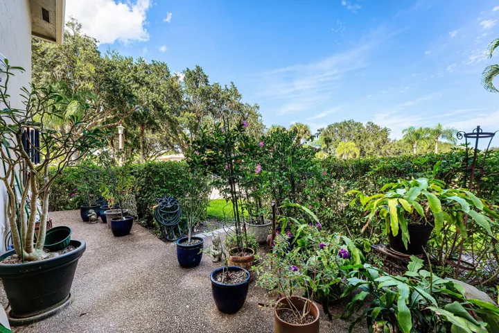 Landscaped outdoor area with a gravel pathway and lush greenery