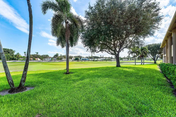 Expansive green space with manicured lawn, mature trees, palm trees, and established shrubbery