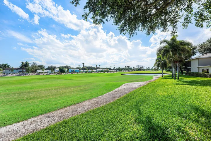 Expansive green space featuring a water element, mature palm trees, and a visible building structure