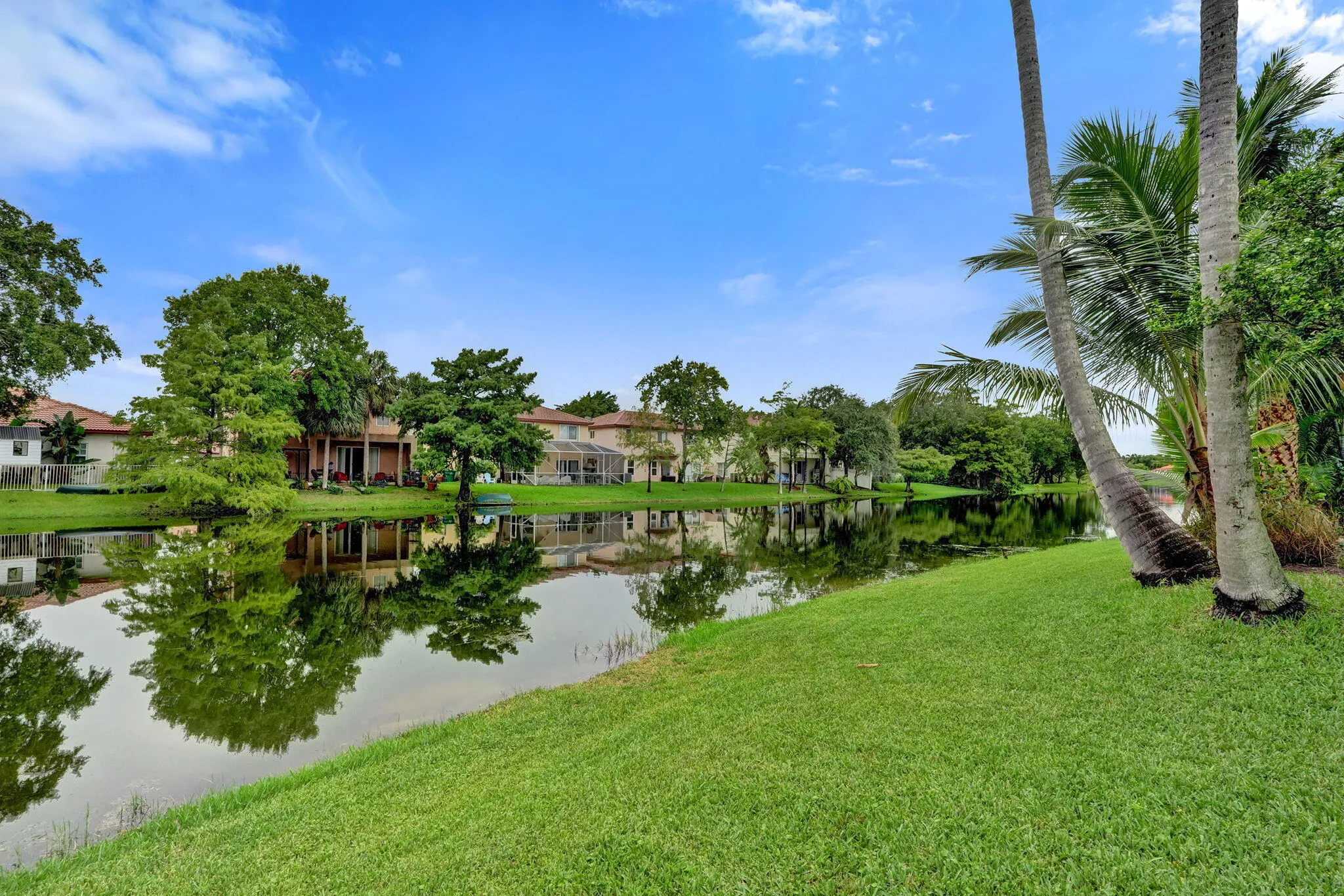 81-web-or-mls-DSC04799