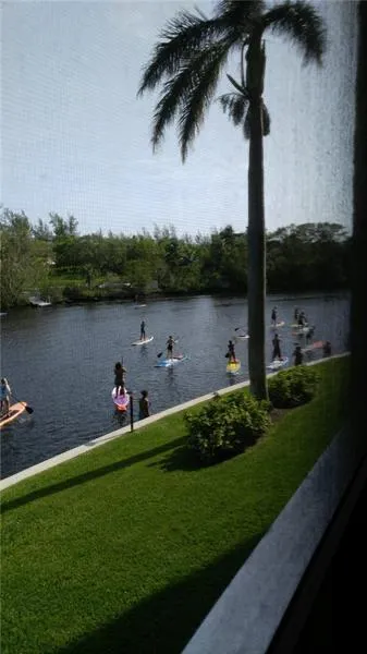 paddle boarders