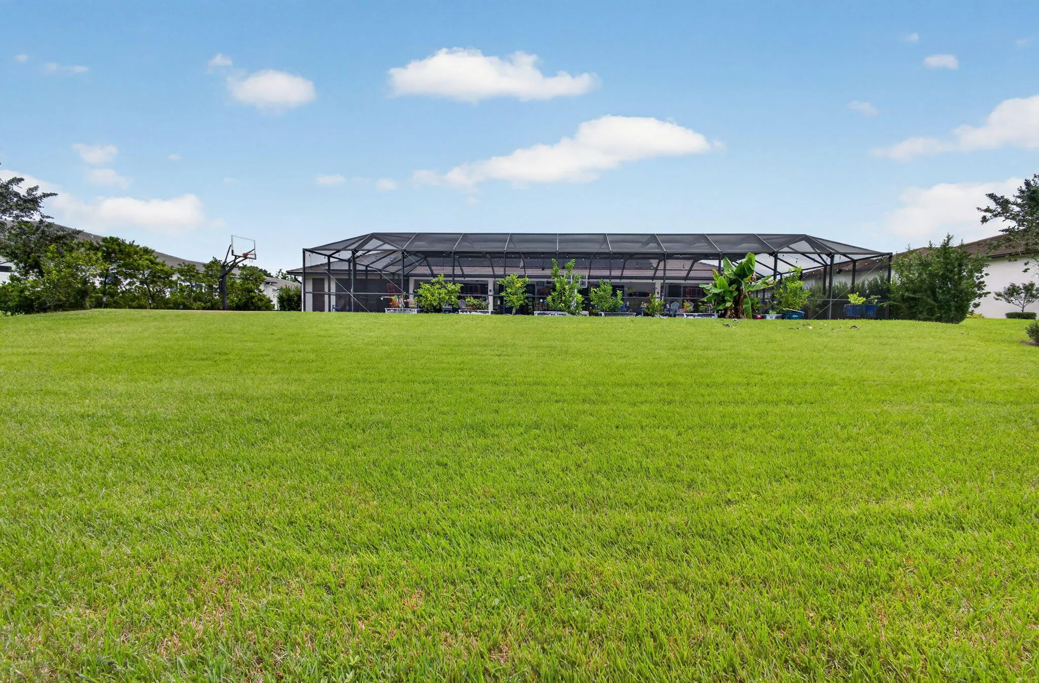 137-web-or-mls-5D1A1568