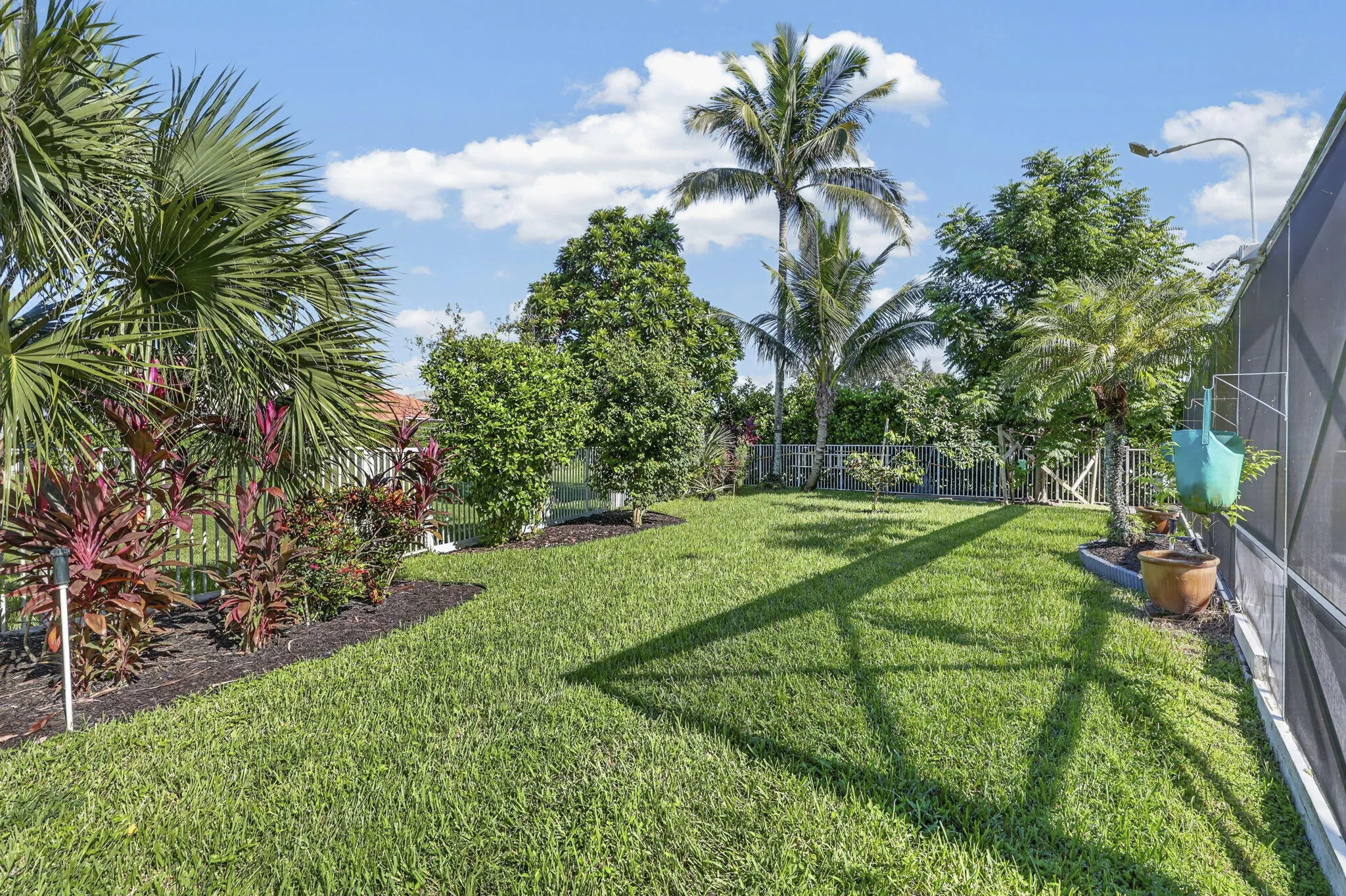 62-web-or-mls-BS1A4171