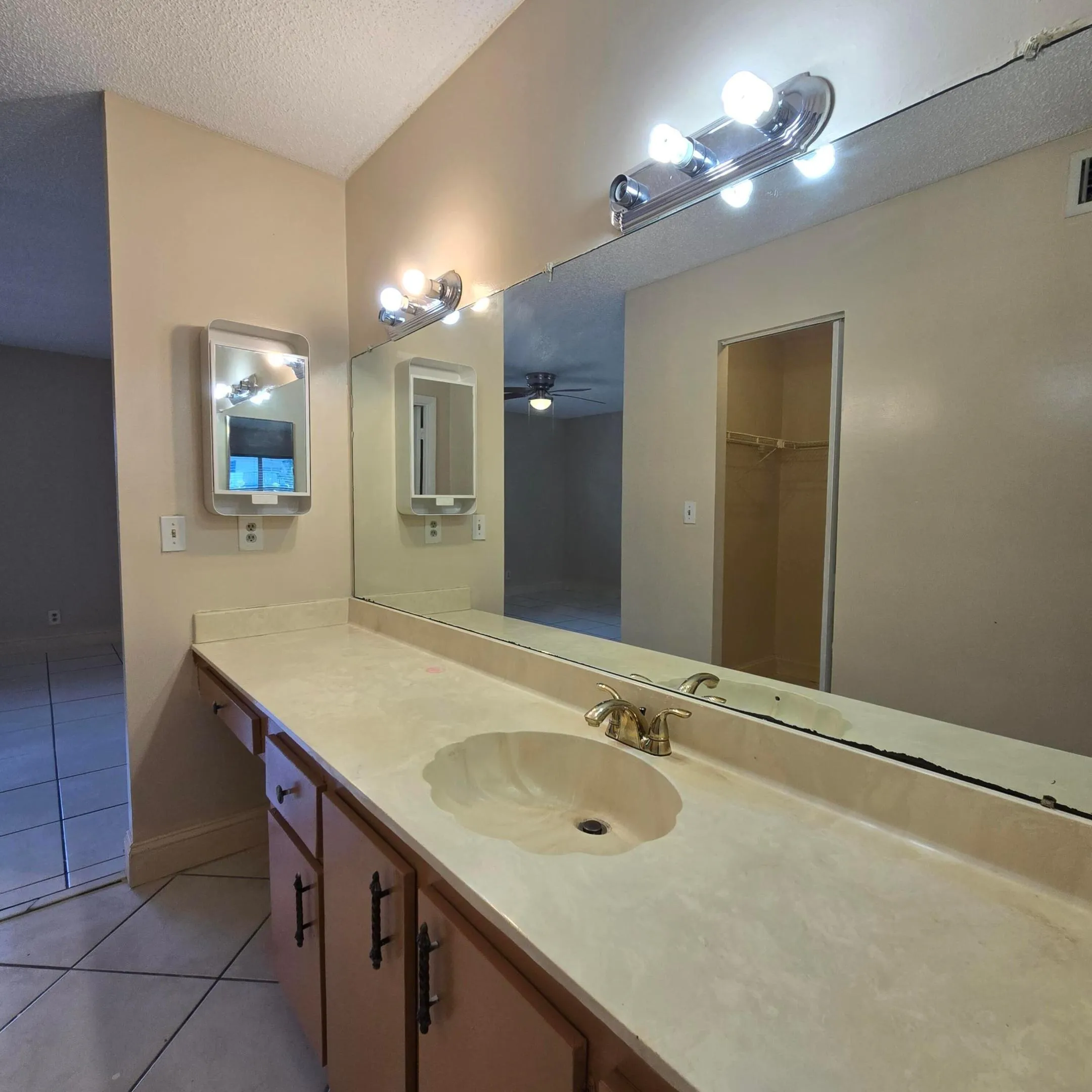 Primary Bathoom Vanity