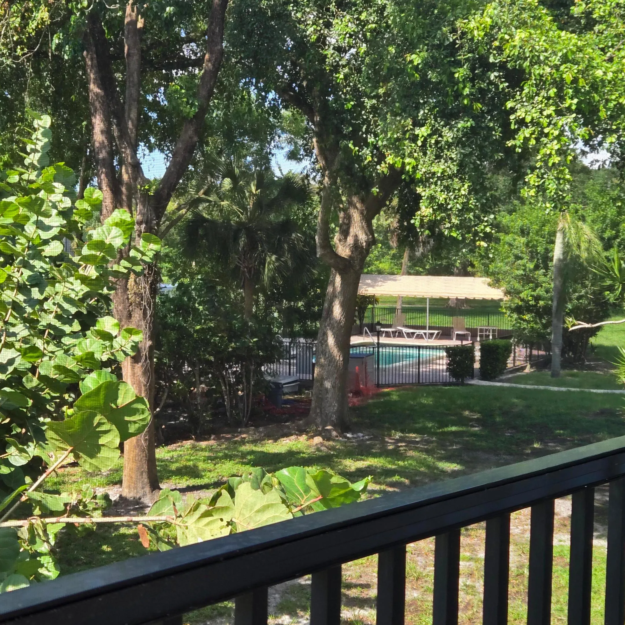 Actual pool view from patio.
