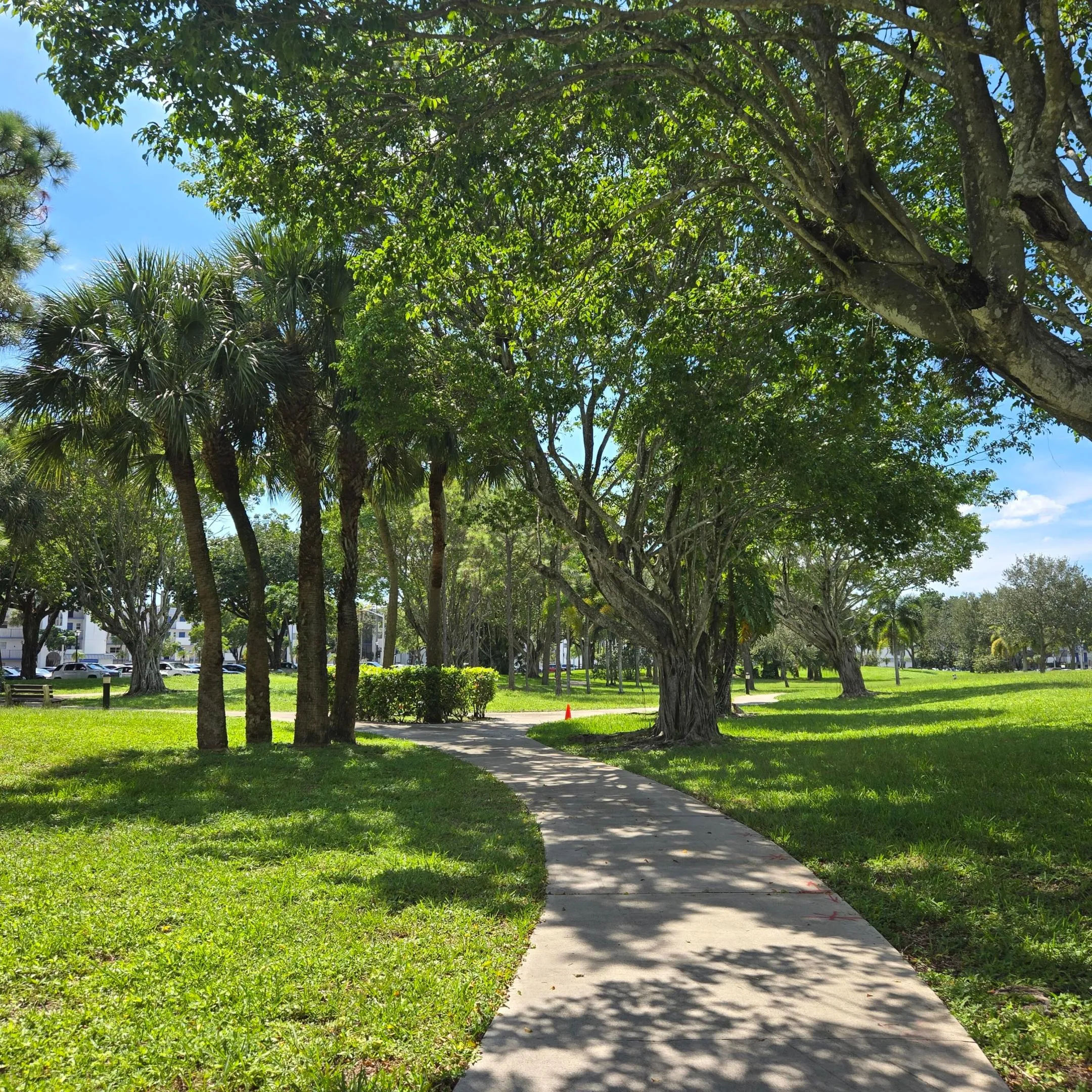 Lush landscaping featuring mature trees, palm trees, and a winding paved pathway.