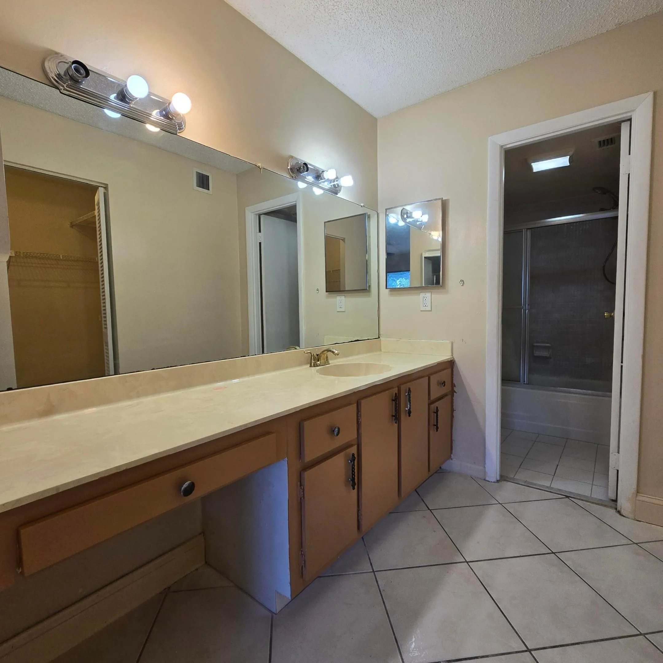 Primary Bathroom Vanity