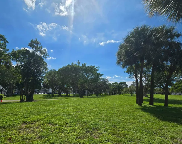 Expansive green space featuring mature trees and palm trees.