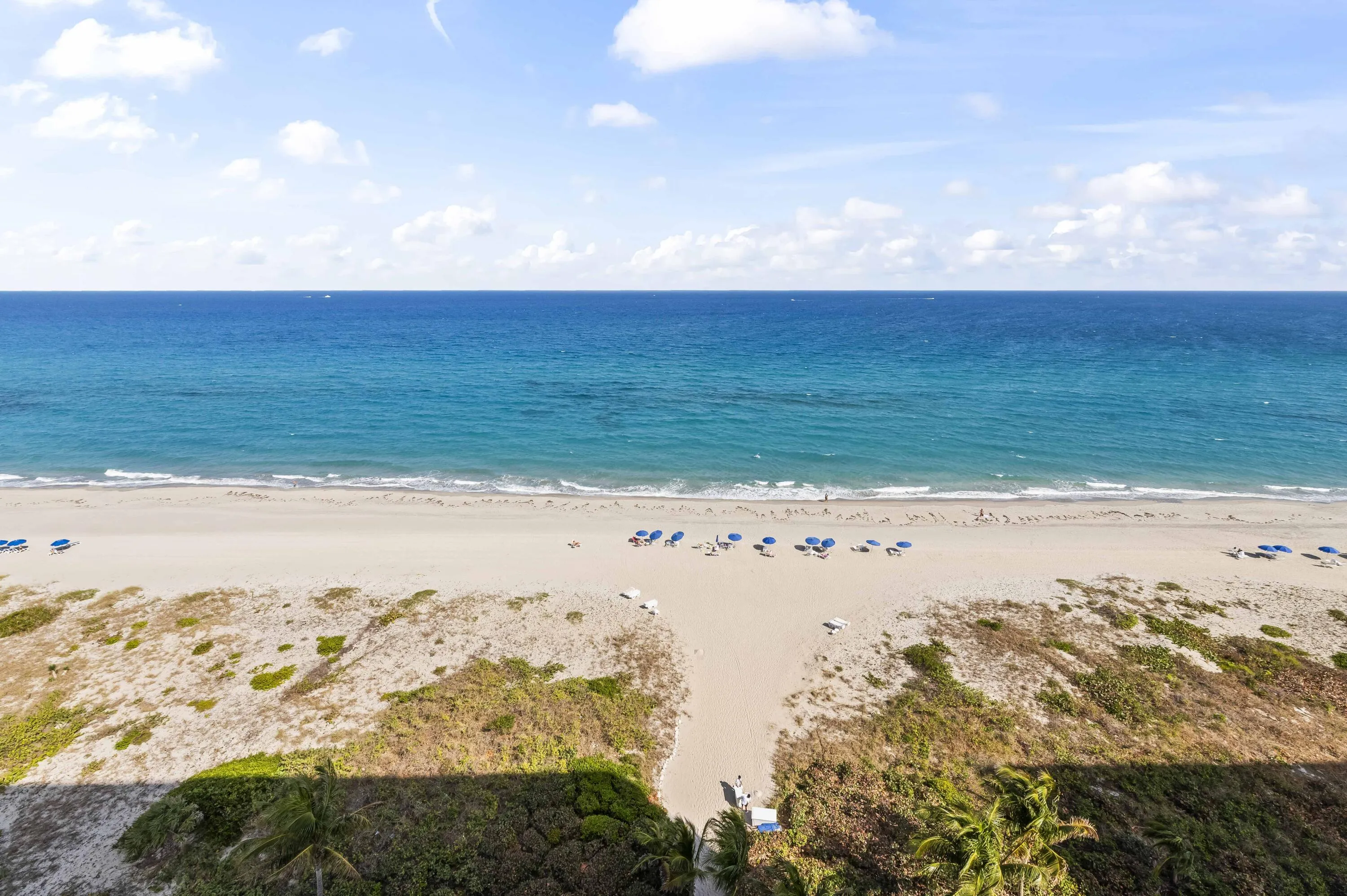 FOREVER OCEAN VIEWS