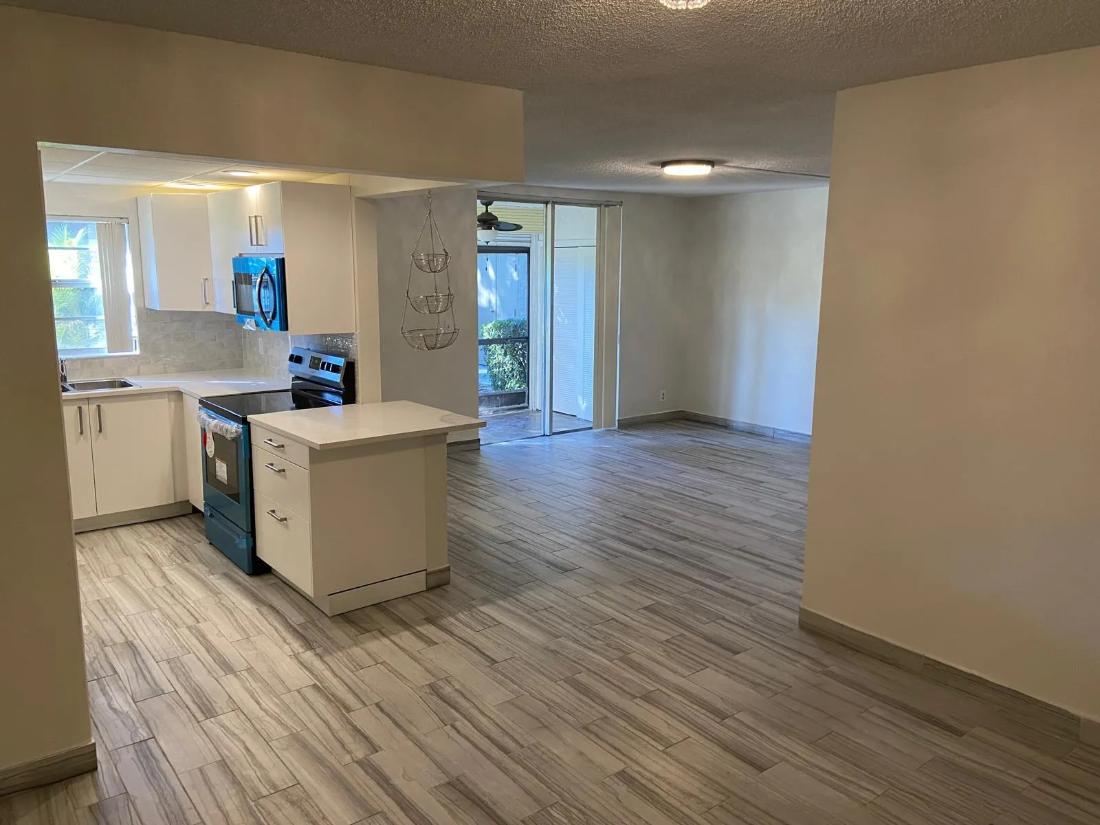 Kitchen /Living