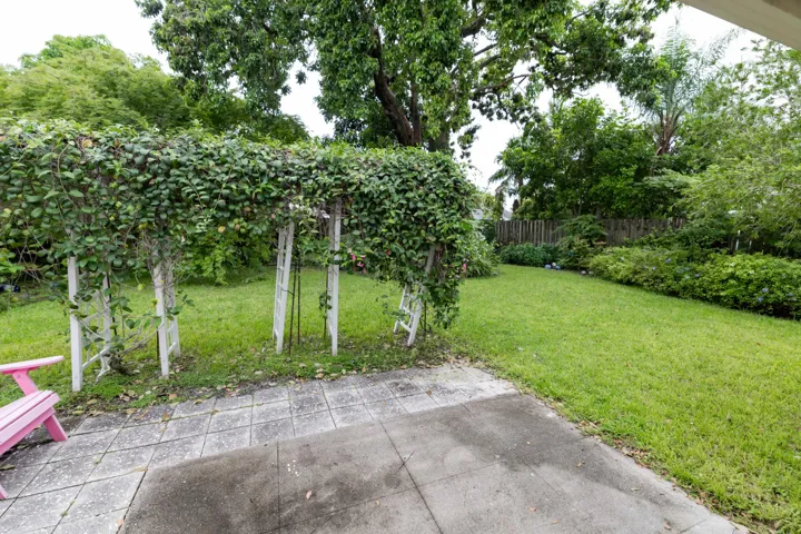 AD2_9779