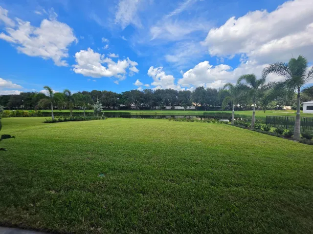 Oversized Backyard