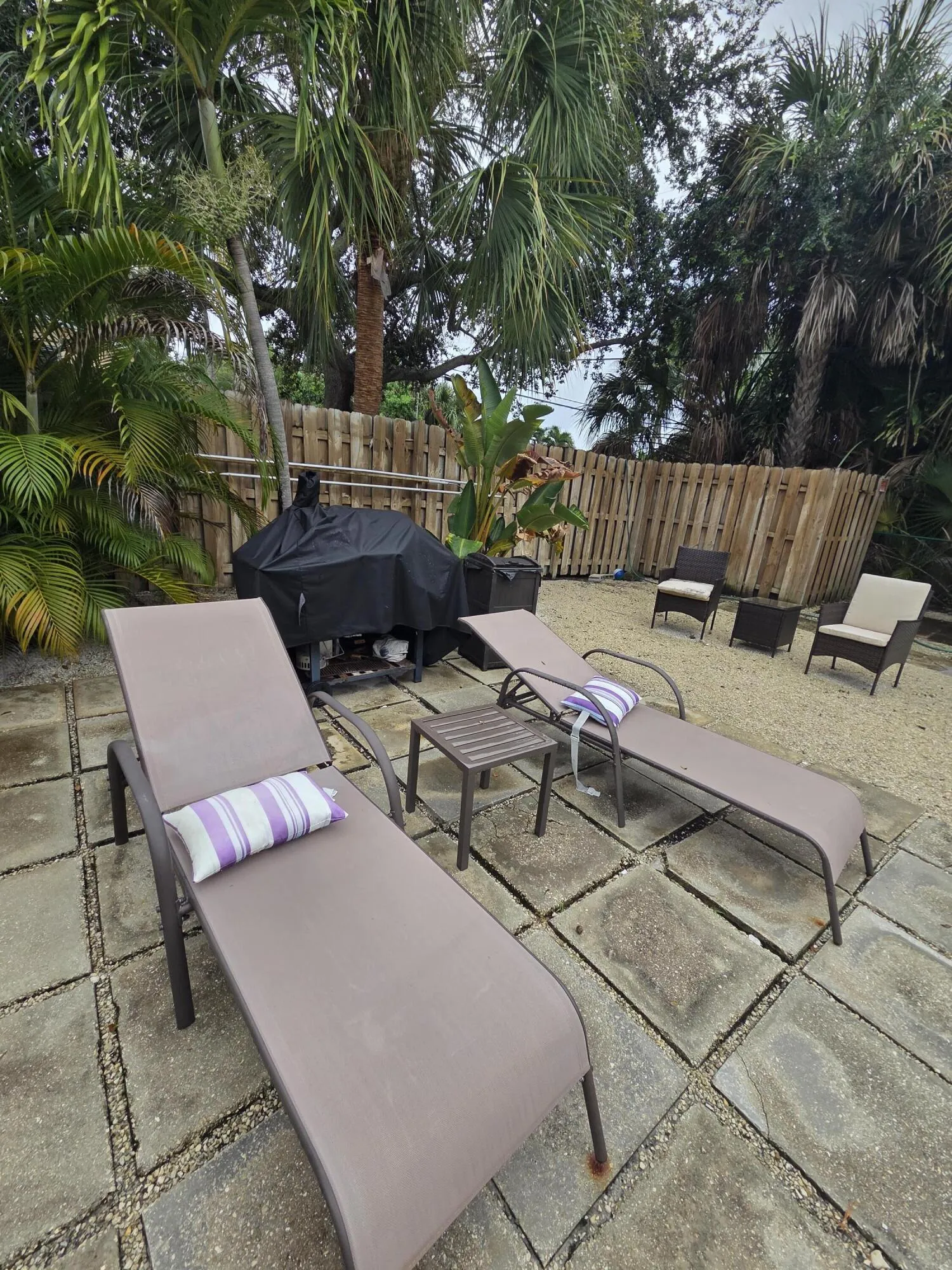 Community pool area with BBQ
