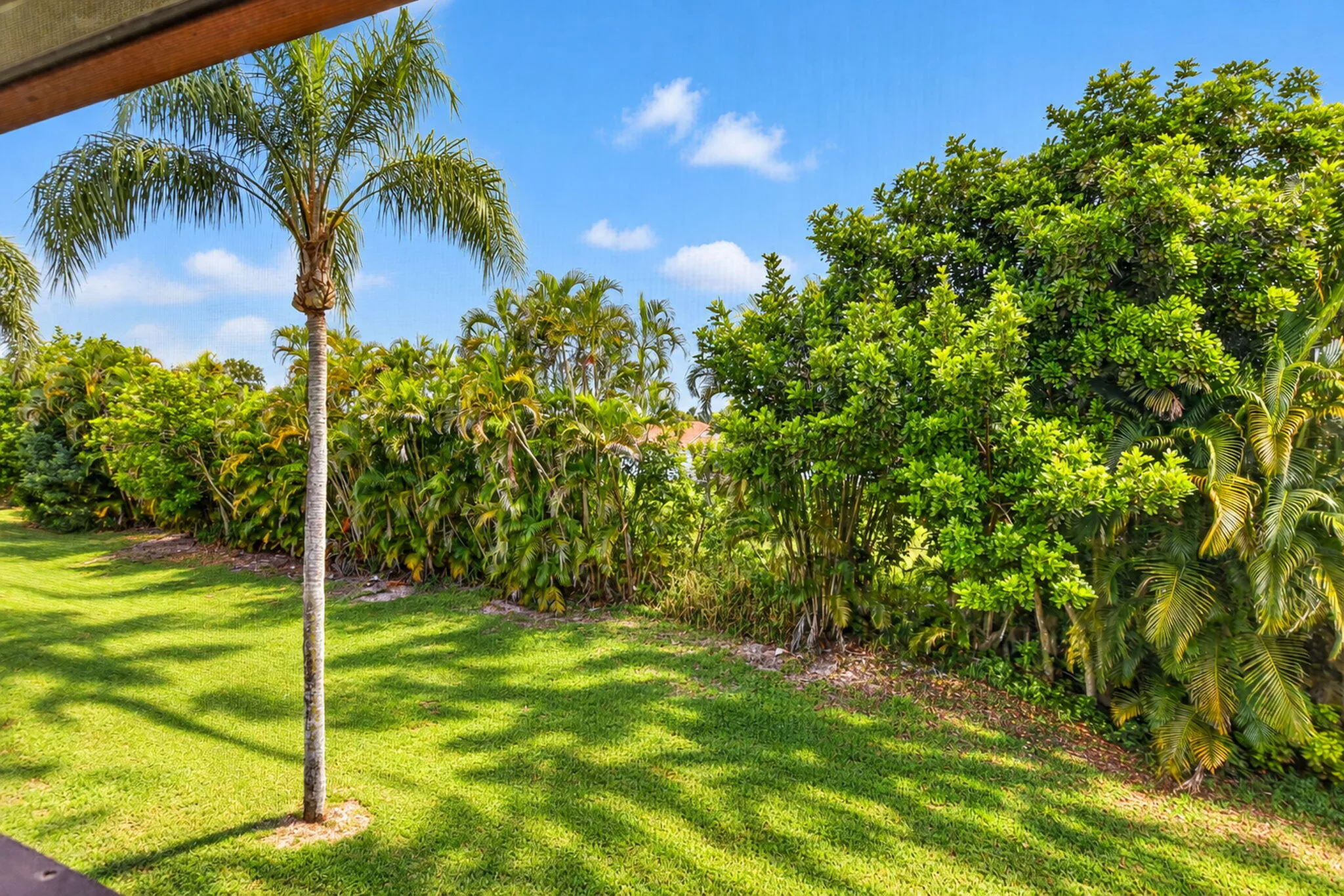 View from patio.