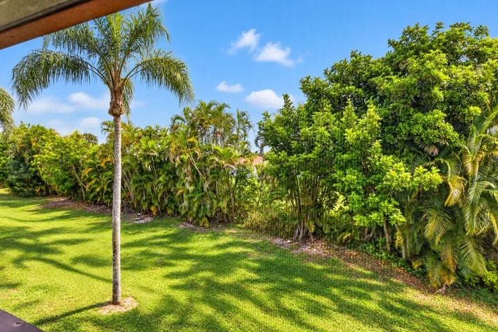 View from patio.