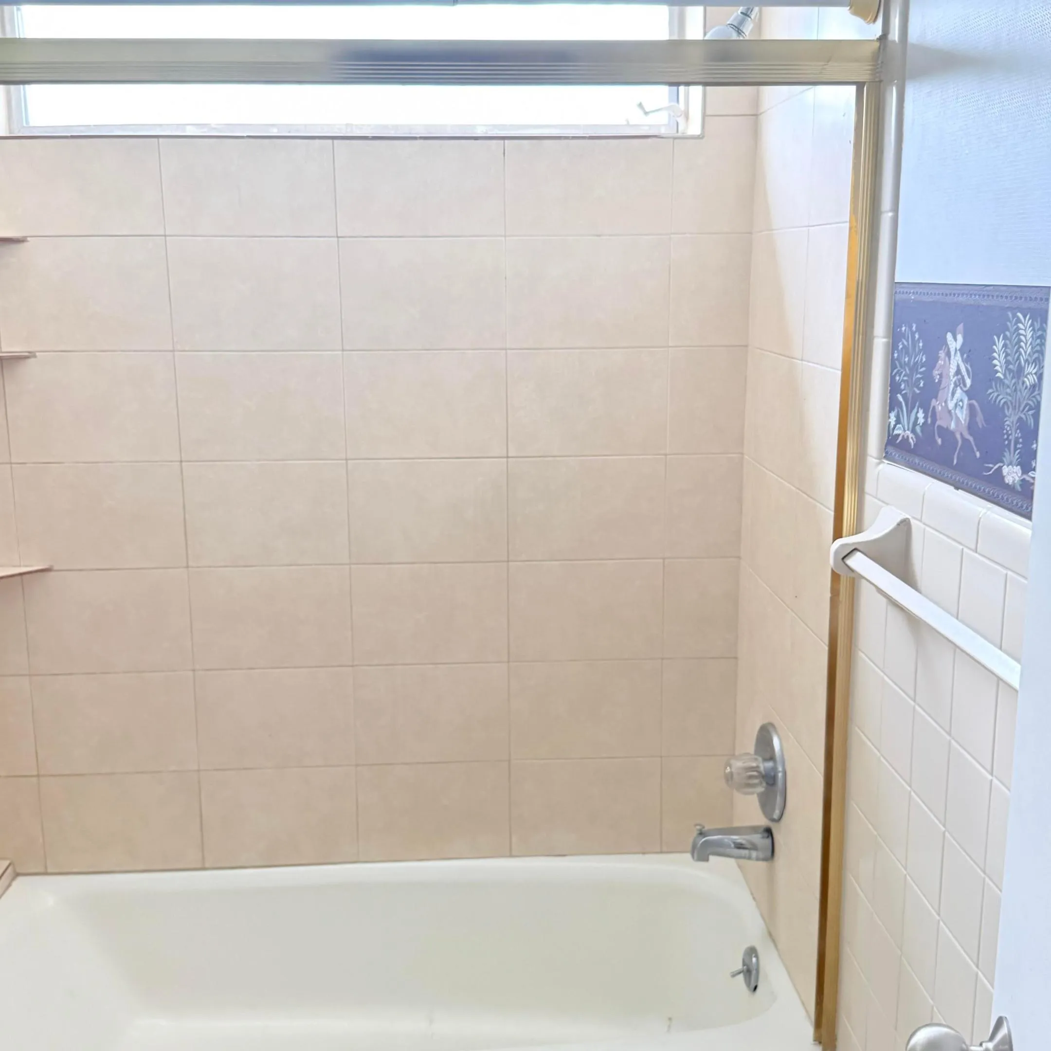 Bathroom Shower Tub