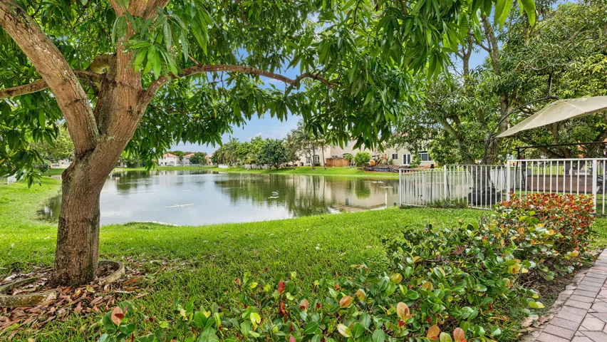 35-web-or-mls-DSC09202