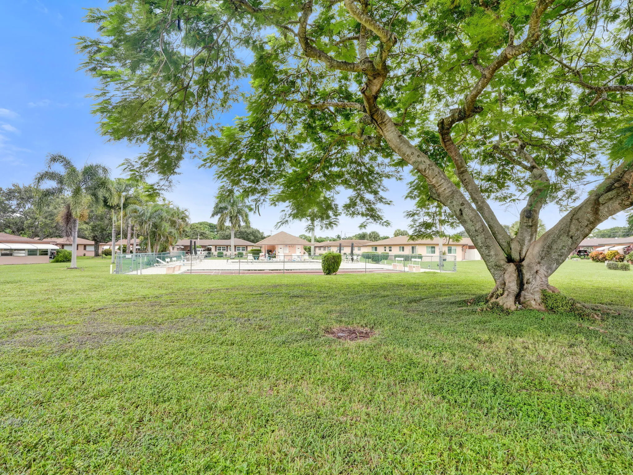 2-web-or-mls-DSC00644