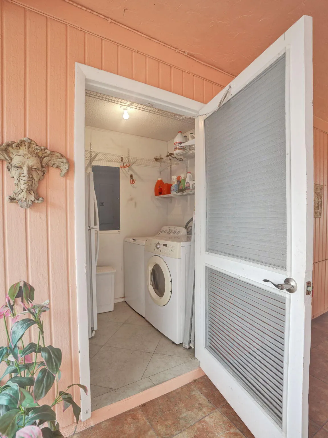 45-web-or-mls-DSC00632