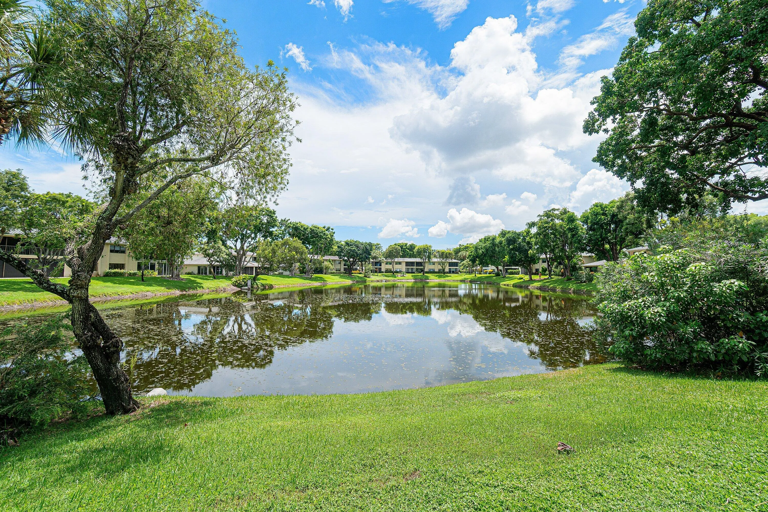 Expansive green lawn with mature trees and a tranquil pond