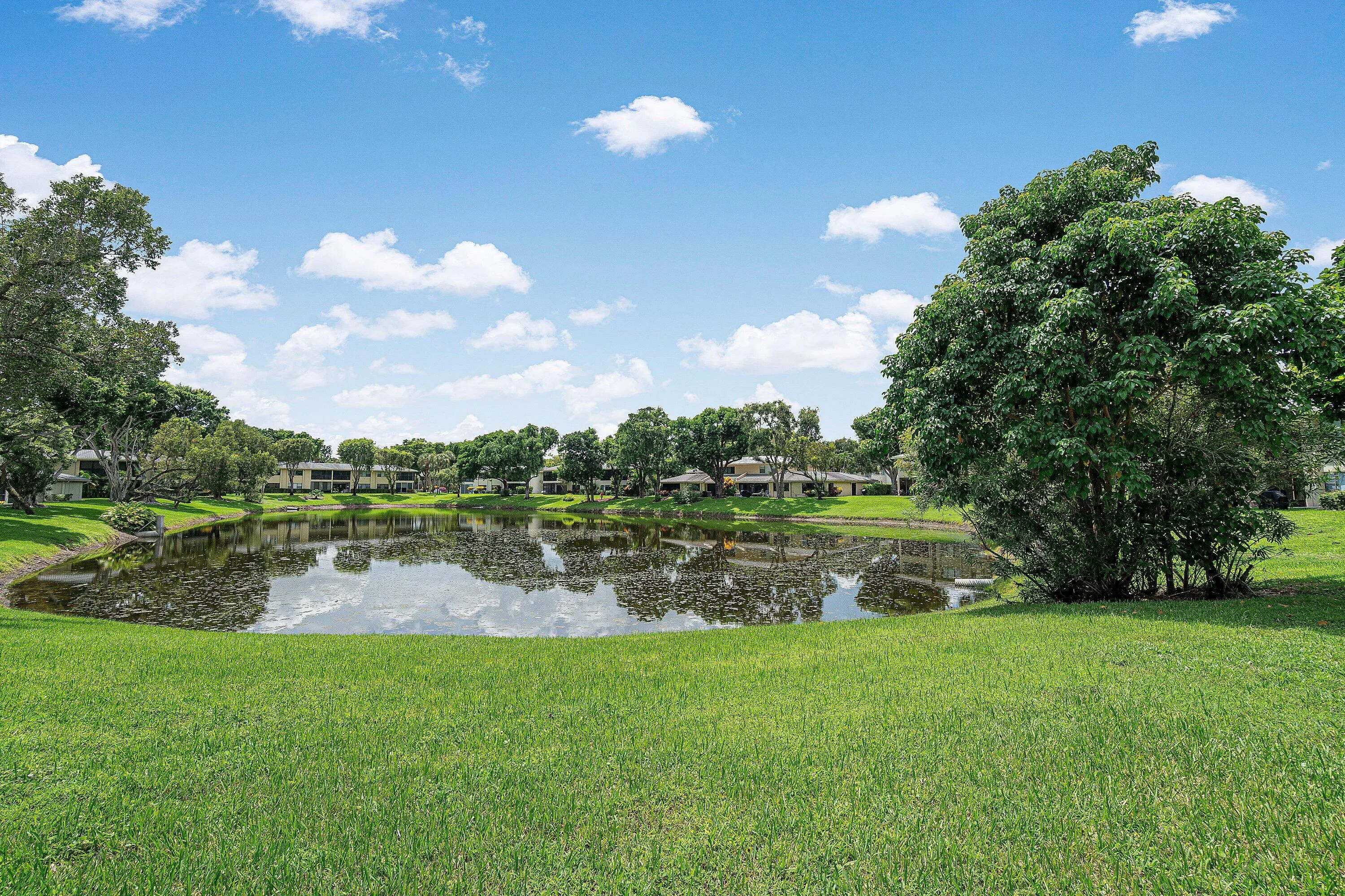 Expansive green space with a serene pond, surrounded by lush trees and residential structures